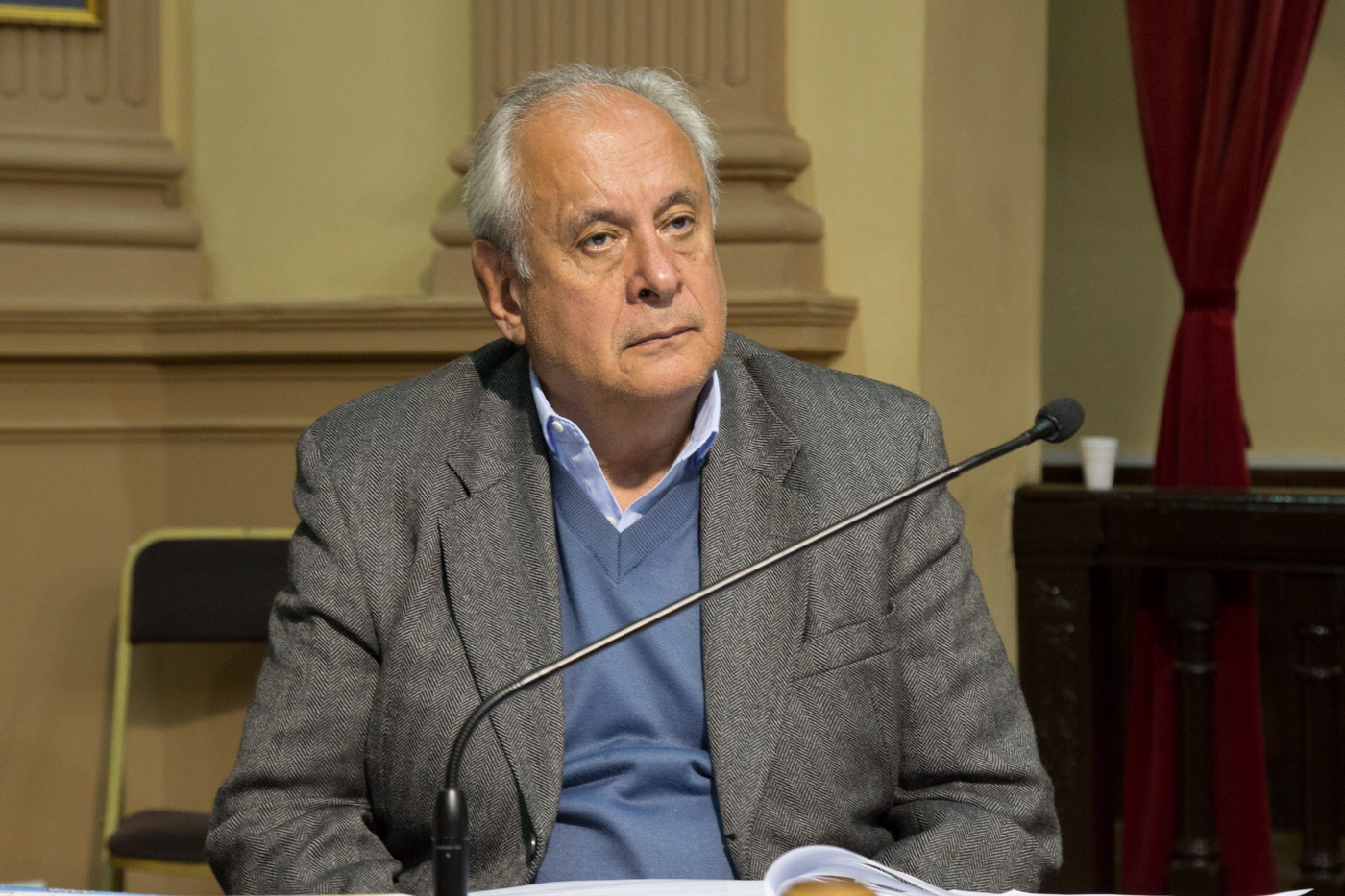 Para Martinelli el PV está más oficialista que nunca